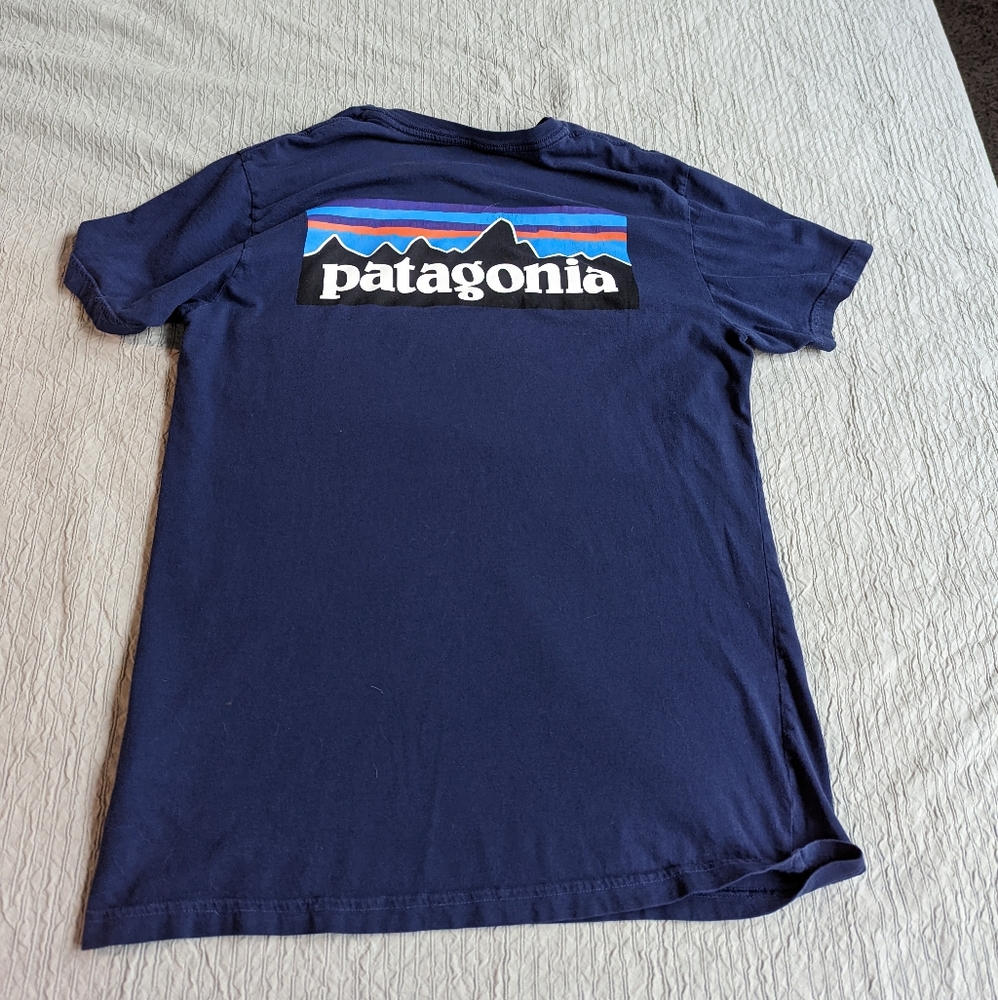 Men's Patagonia tee